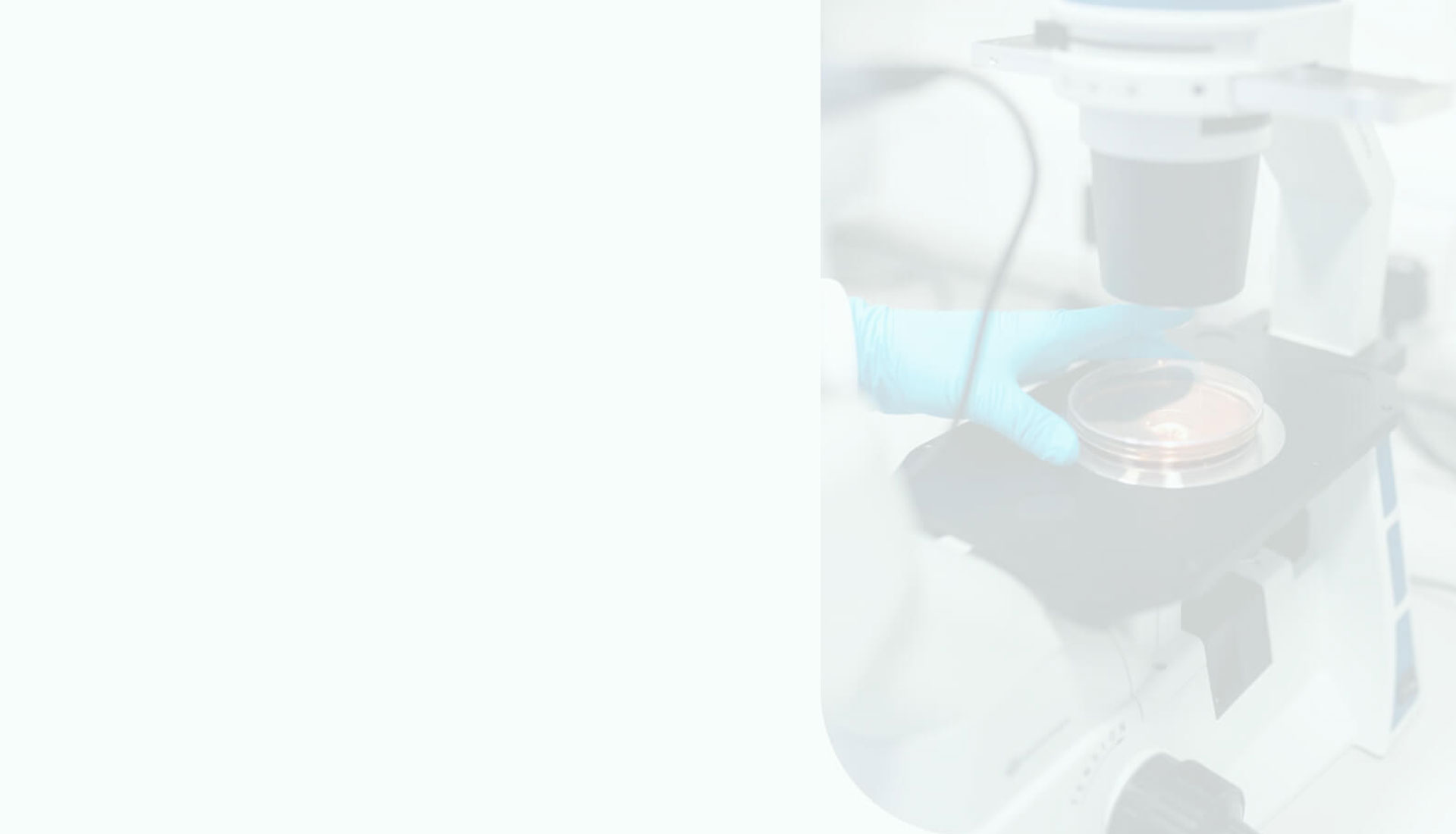 (c) Jointreplacementsurgery.co.uk